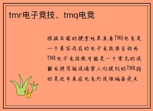 tmr电子竞技、tmq电竞